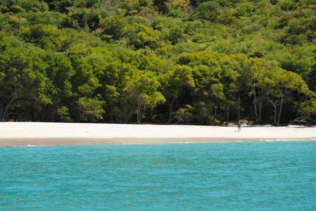  Marine Paradisi 